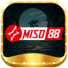 miso88art1