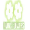 livingflowers