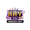 haywin11com