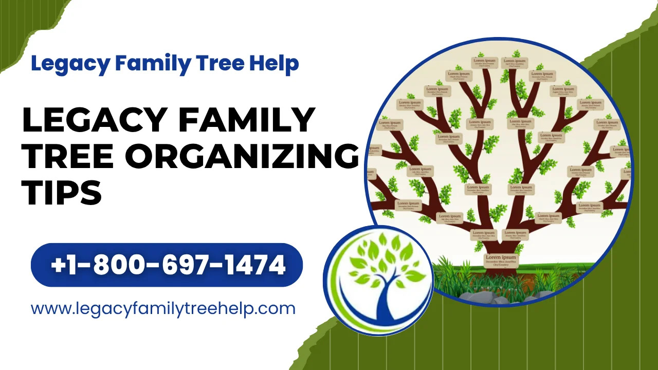 Legacy Family Tree Organizing Tips 